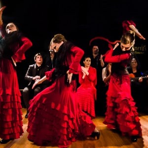 Flamenco Tablao Carboneras | Amazing Offer | Madride Travel