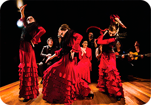 Group activities in Madrid - Flamenco Show