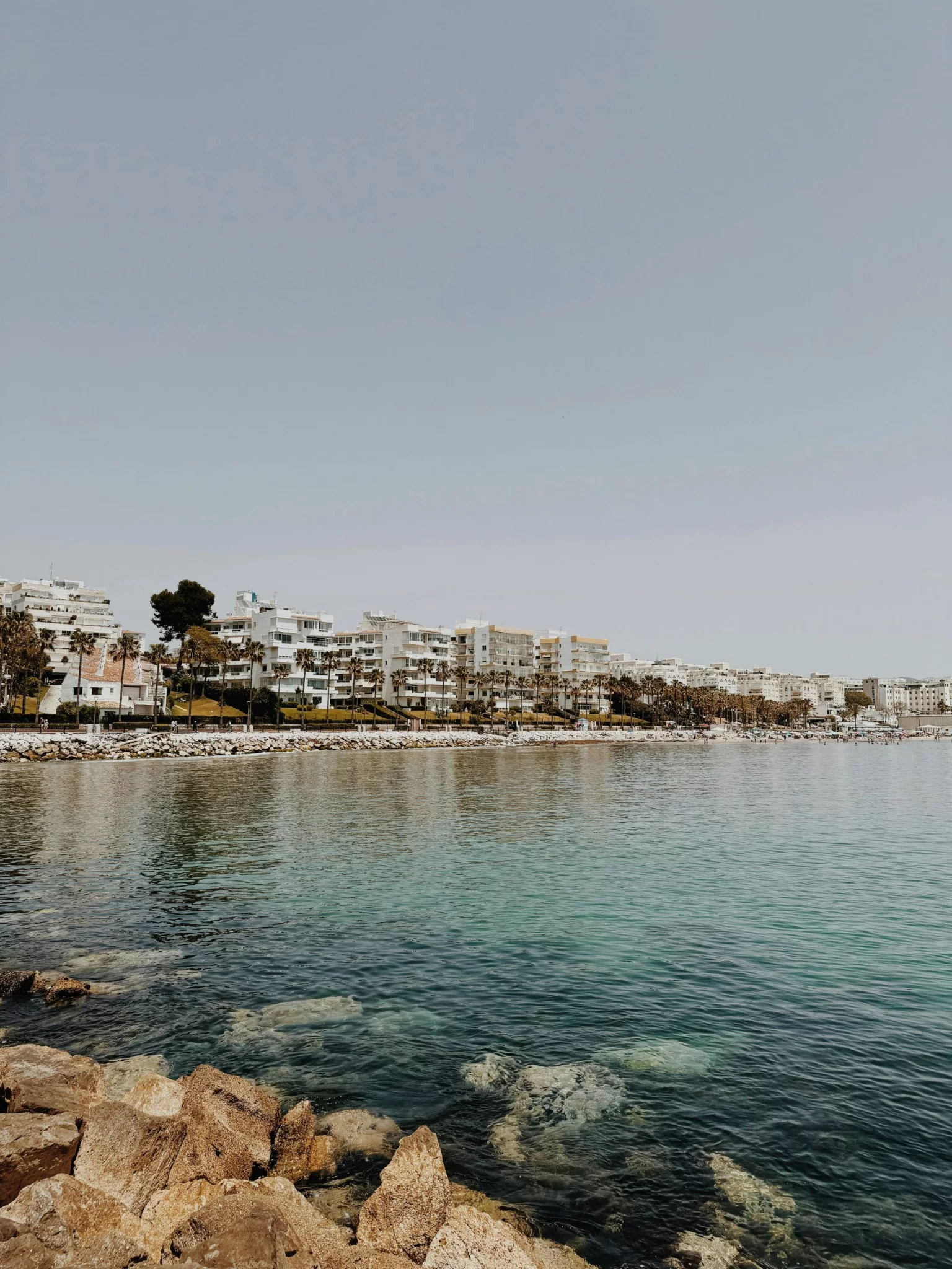 55be875a1562ff68d29c6d59b45d8eaf